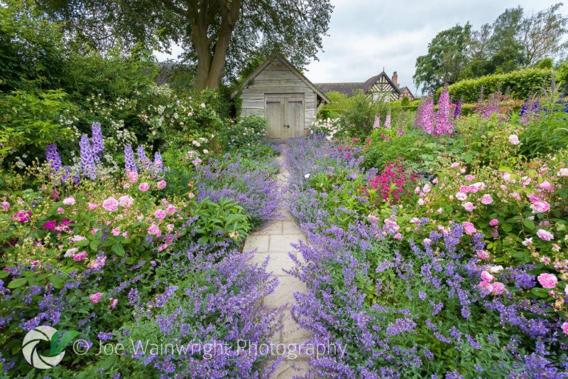 Wollerton_Old_Hall_Garden_-_Rose_Garden,_Nepata_and_Path.jpg