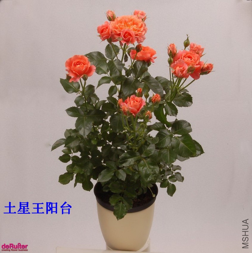 02-������.jpg