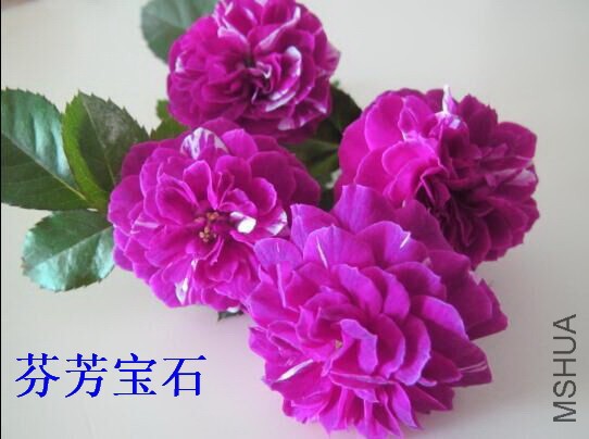 01-�ҷ���ʯ.jpg