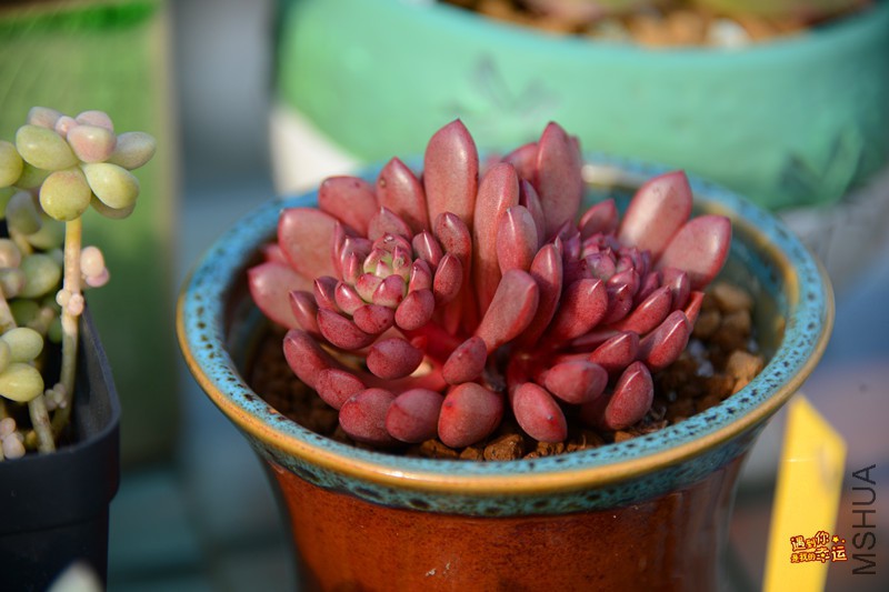 ��Ƭ 149_����.jpg