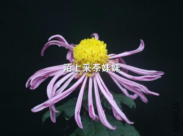 �������� (1)_meitu_13.jpg