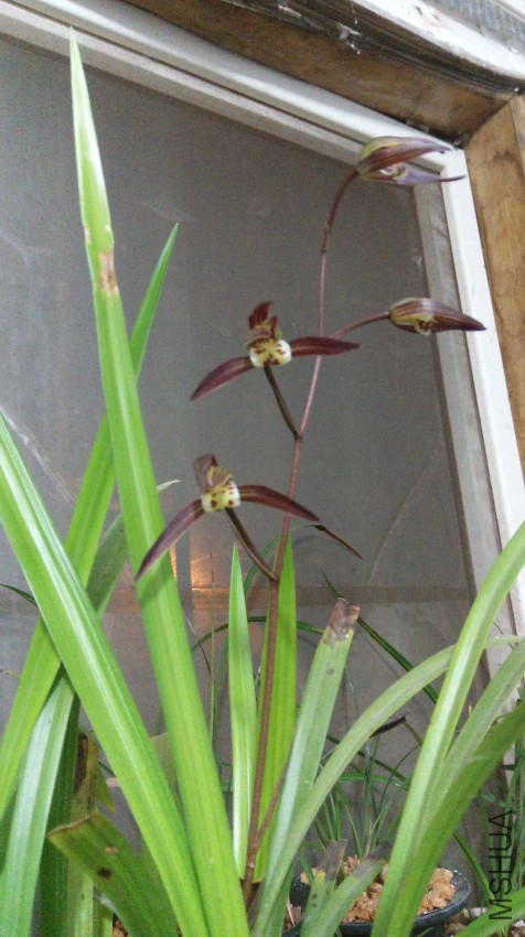 IMAG1096.jpg