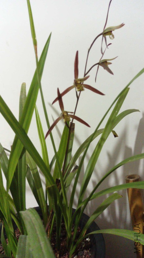 IMAG1117.jpg