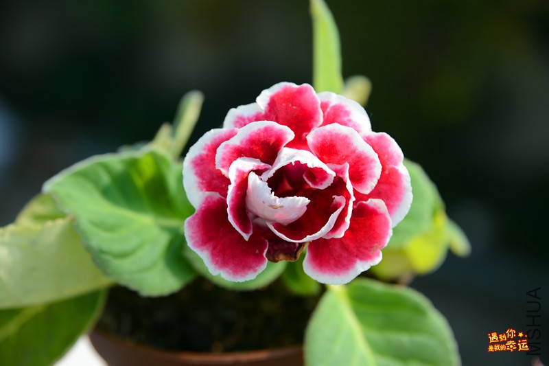 ��Ƭ 107_����.jpg