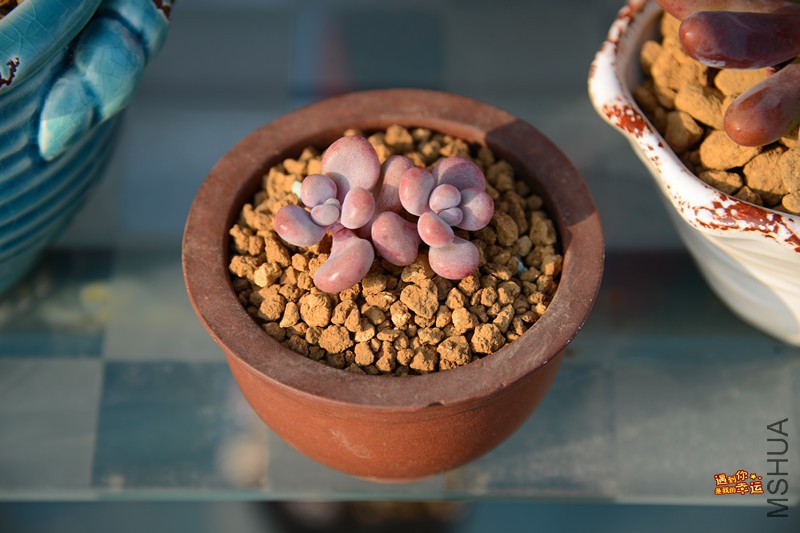 ��Ƭ 201_����.jpg