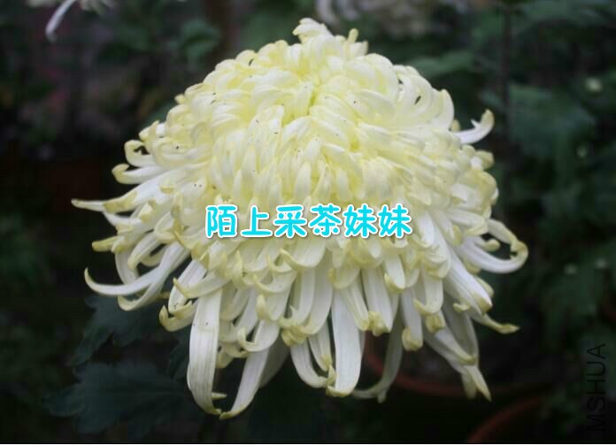 �������� (1)_meitu_14.jpg