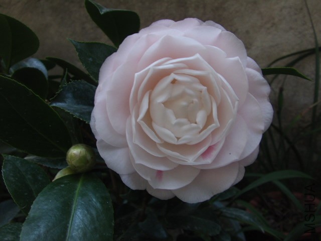 GEDC1319.JPG