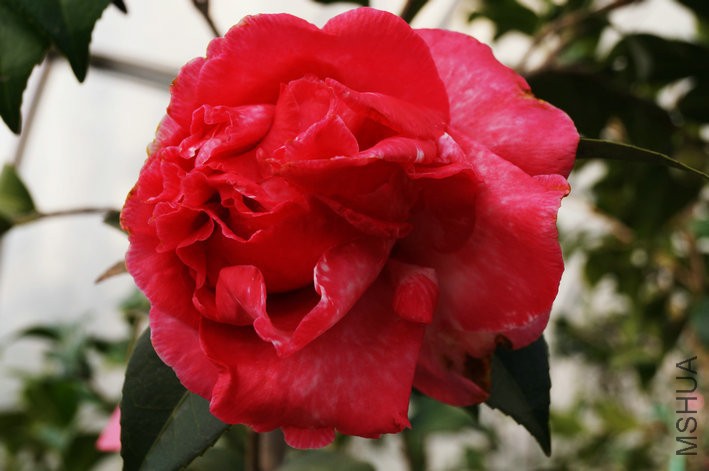 DSC05114.JPG
