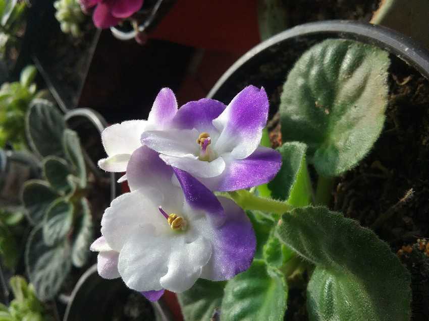 20161209_115003.jpg