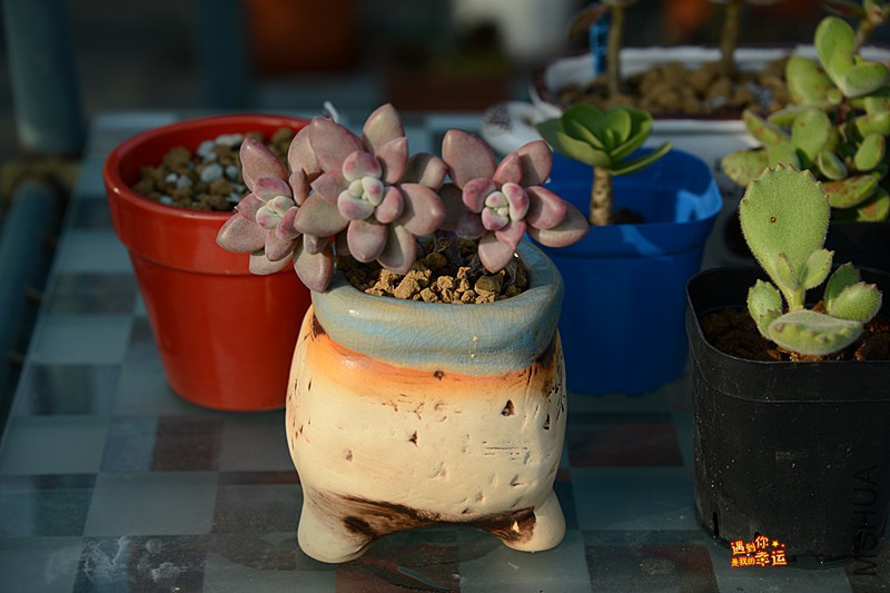 ��Ƭ 193_����.jpg