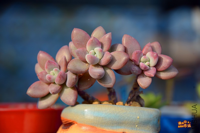 ��Ƭ 194_����.jpg