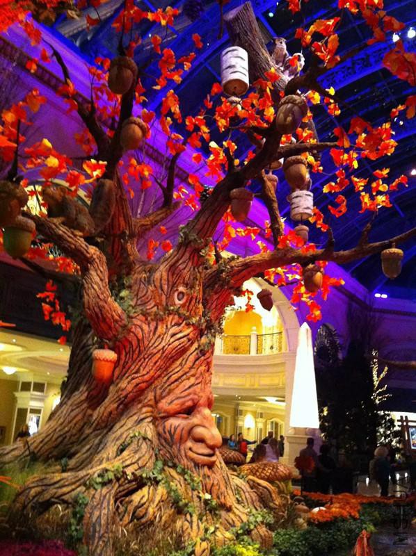 psb (6)_����.jpg