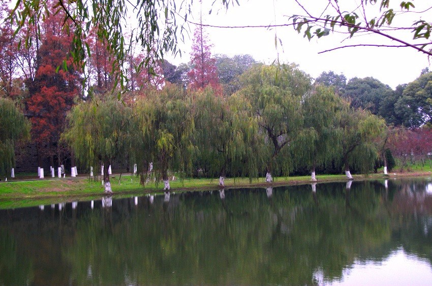 DSCF7936_��ͼ��.jpg