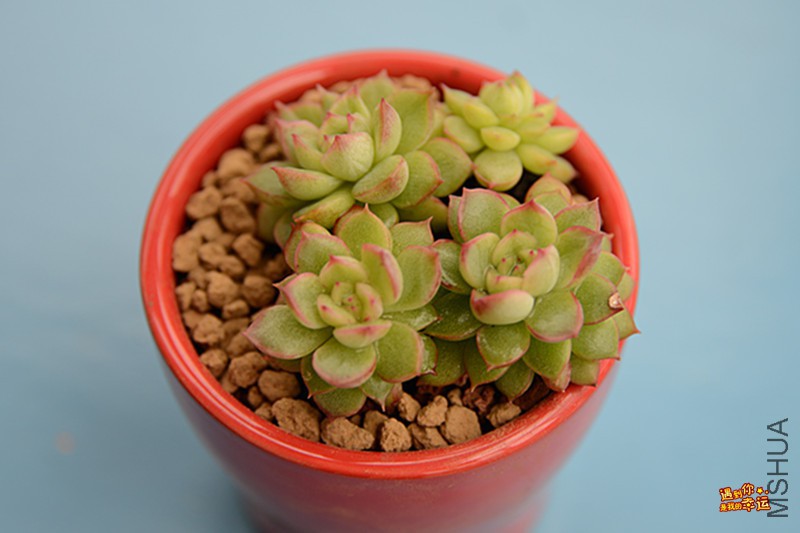 ��Ƭ 010_����.jpg