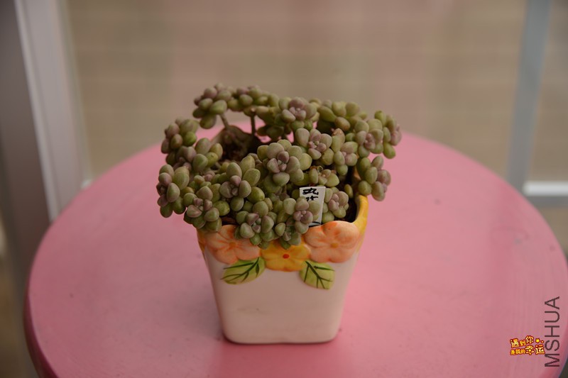 ��Ƭ 012_����.jpg