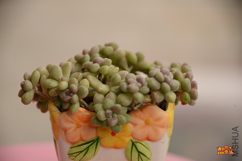 ��Ƭ 014_����.jpg