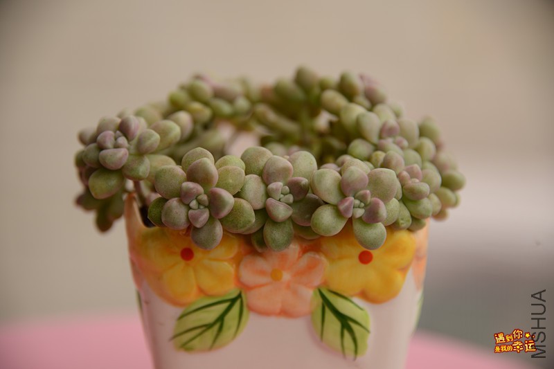 ��Ƭ 015_����.jpg