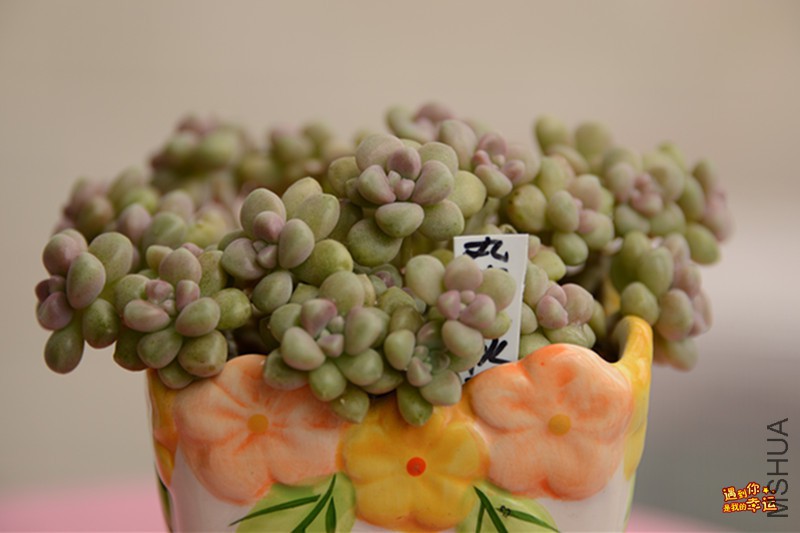 ��Ƭ 018_����.jpg