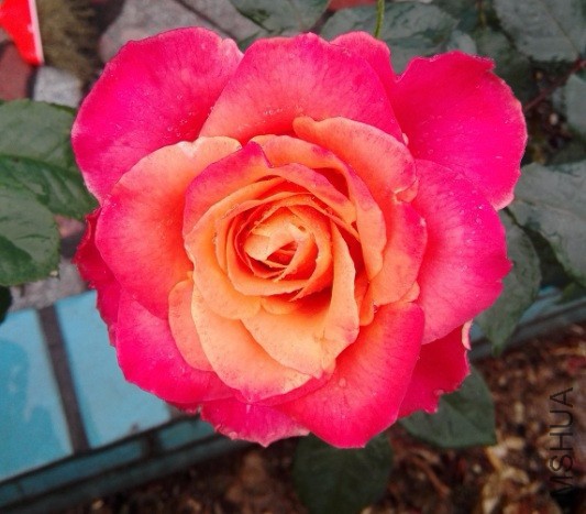 �����3d��������