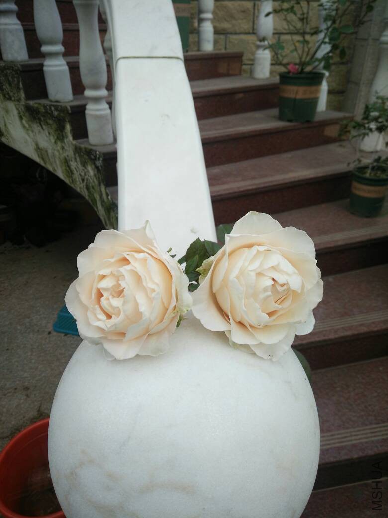070147tefvab9bbqb9gbdb.jpg