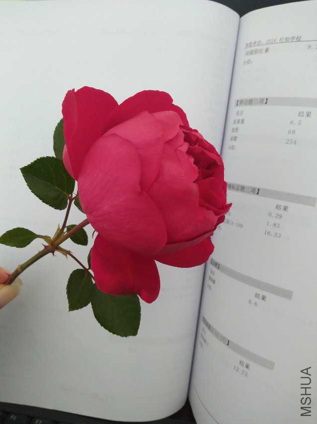 IMG20161212101023.jpg