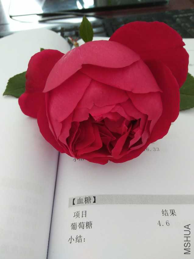 IMG20161212100828.jpg