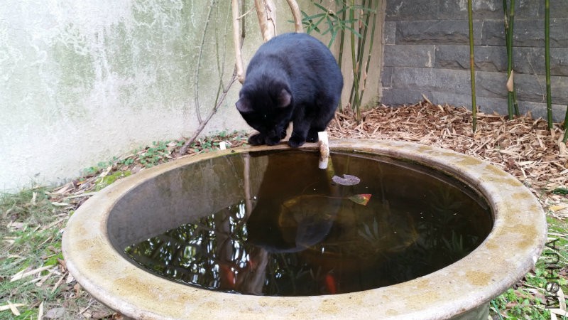 20161211_112809.jpg