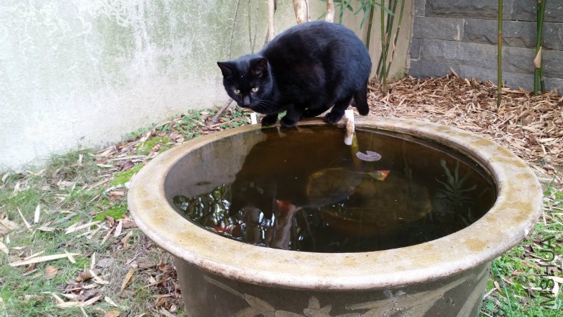 20161211_112832.jpg