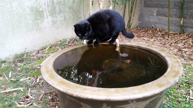 20161211_112836.jpg