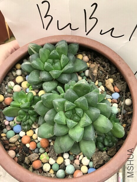 �ս�2