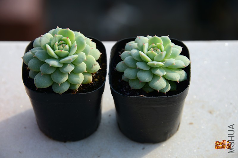 ��Ƭ 198_����.jpg