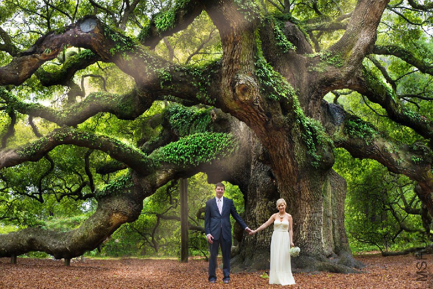 angel-oak-wedding-1-2.jpg