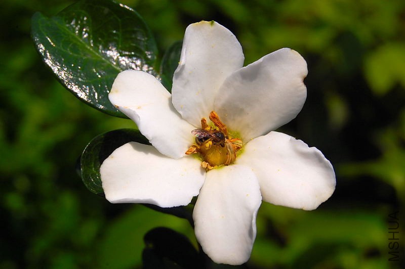 DSC_39480013.JPG