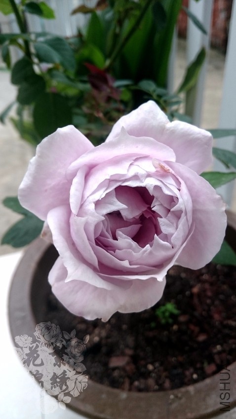 DSC_0006.JPG