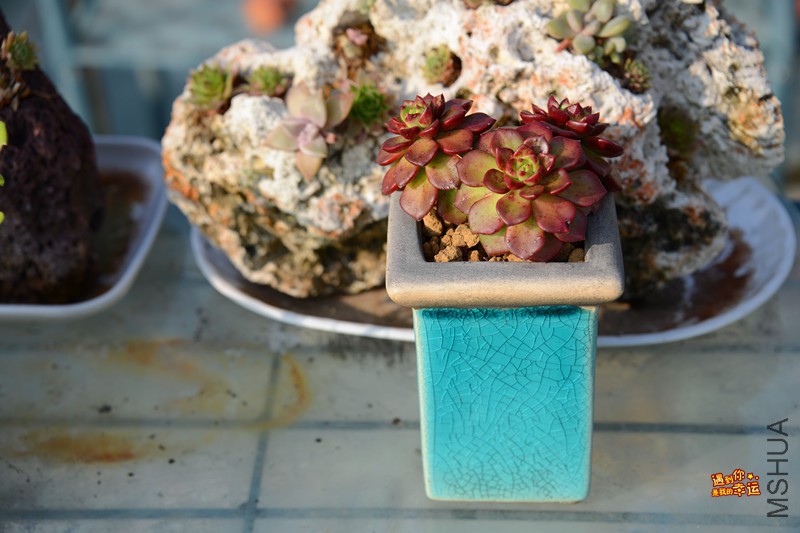 ��Ƭ 183_����.jpg