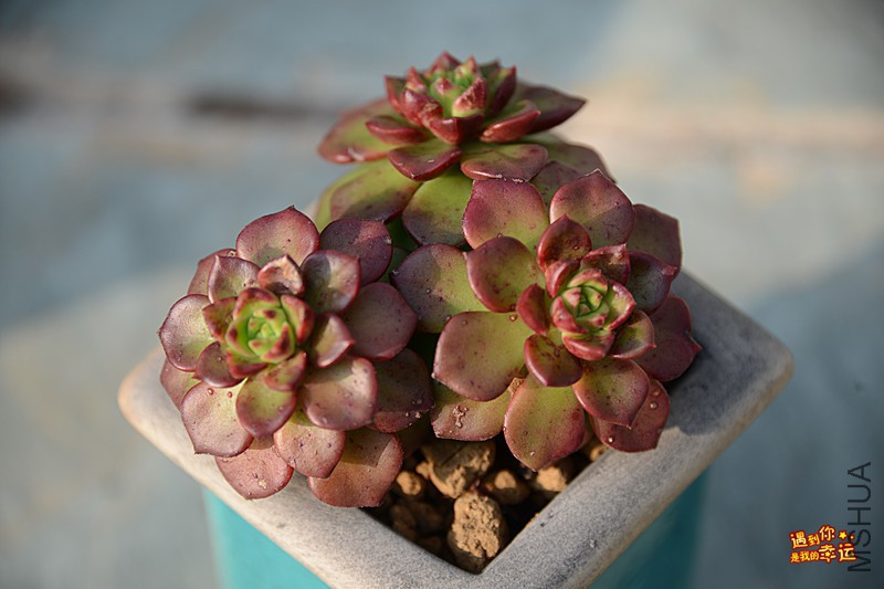 ��Ƭ 187_����.jpg