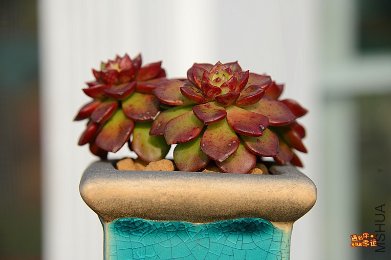 ��Ƭ 189_����.jpg