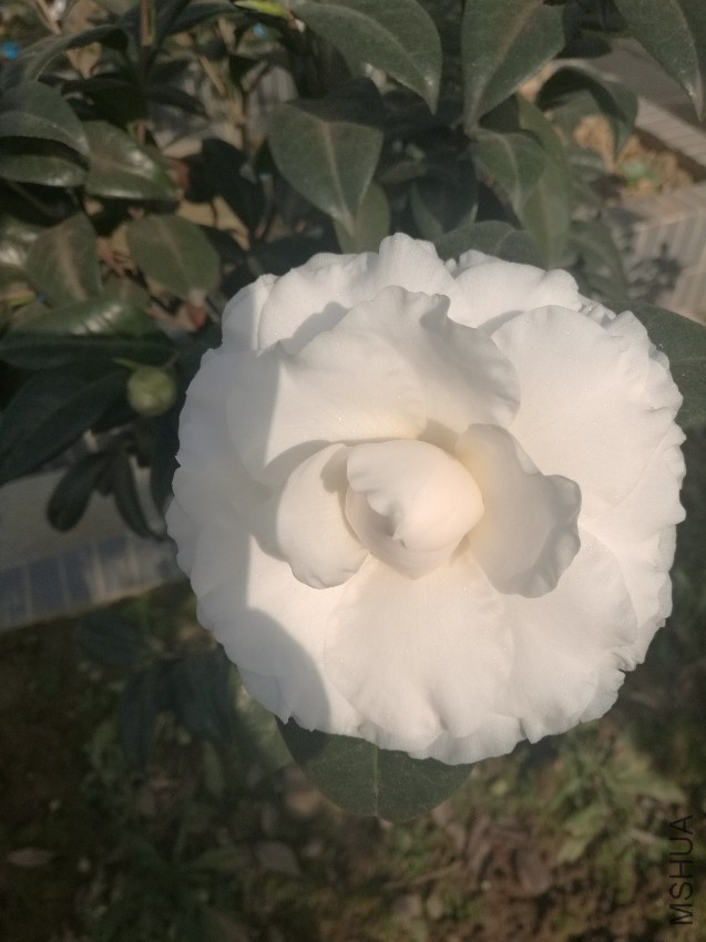 ӭ�����