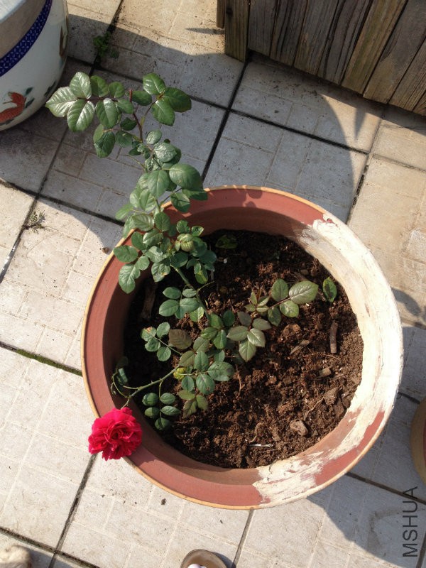 �������ڴ���