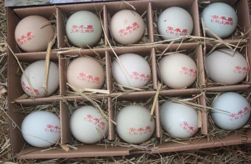QQ��ͼ20161214164028.jpg