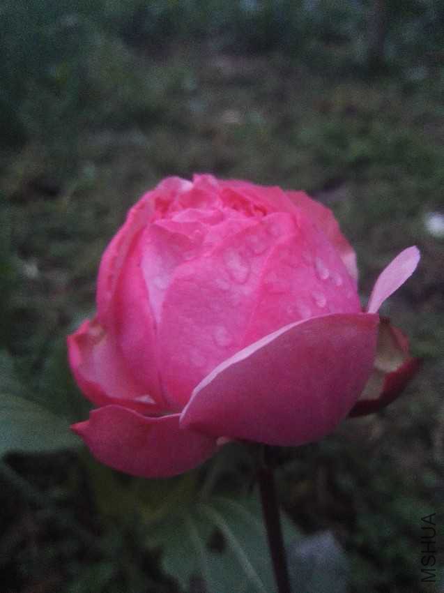 IMG_20161214_180405.jpg