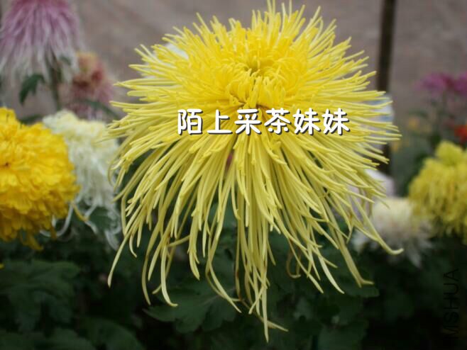 �������� (1)_meitu_24.jpg