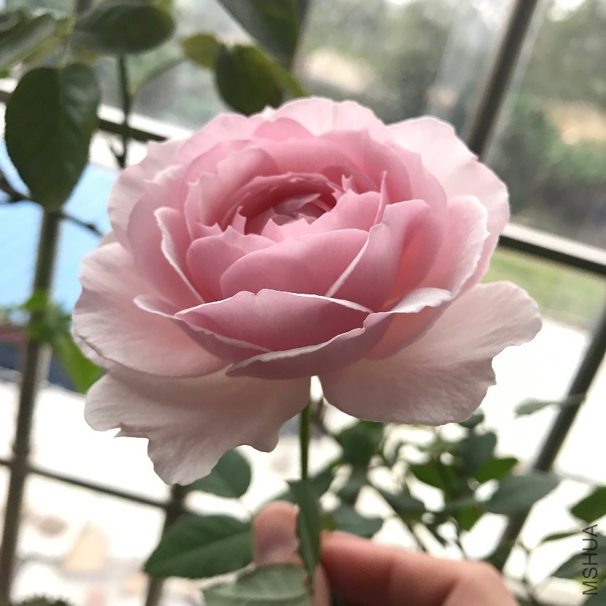 ���������D