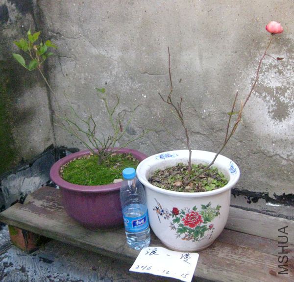 B�飺��˿ȸ������ɺ����.jpg