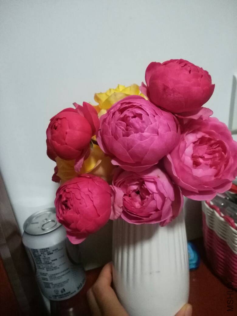 180408m2zzw00i5ph8eipp.jpg