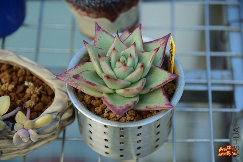 ��Ƭ 130_����.jpg