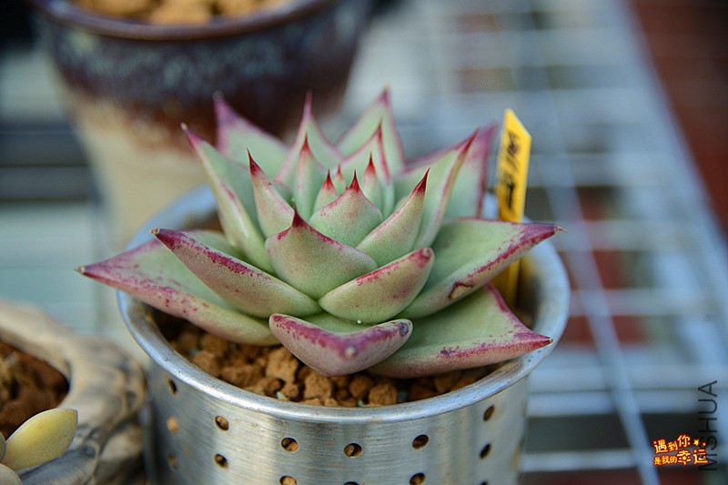 ��Ƭ 132_����.jpg