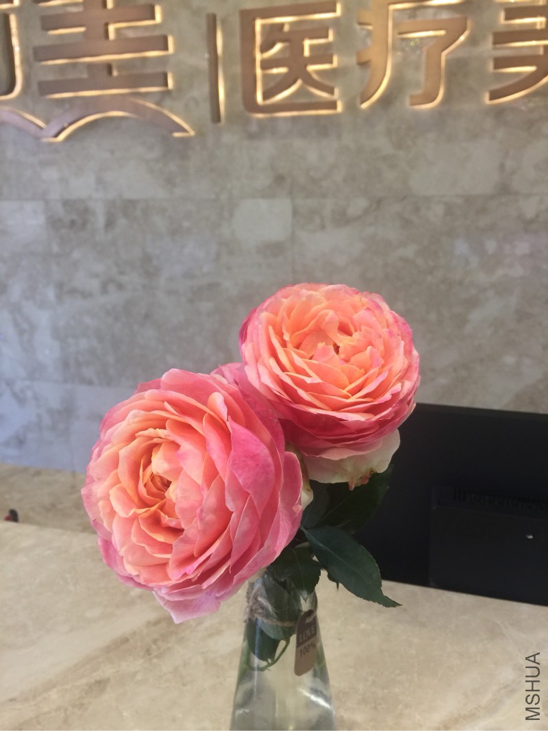 224231kdsizi41fda2cde0.jpg