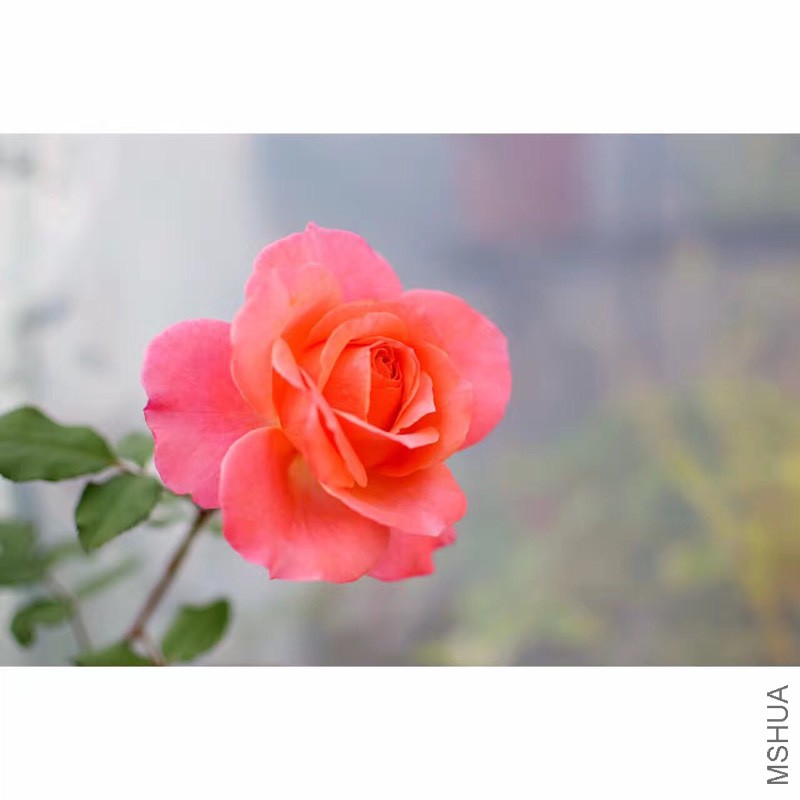 224346ie75zb11ee17157p.jpg