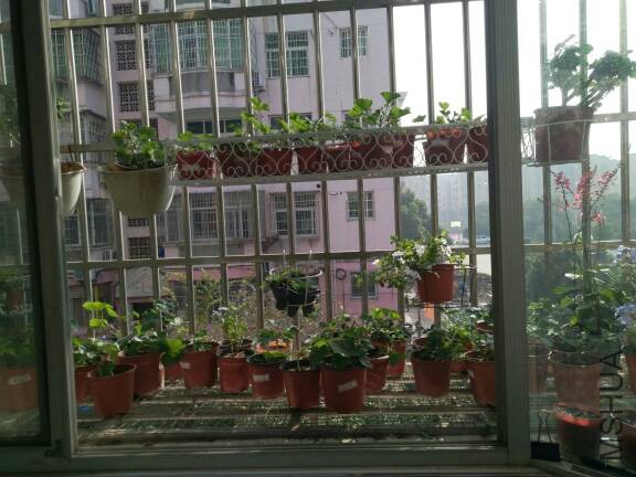 071018c9btpa5slq9qddbh.jpg